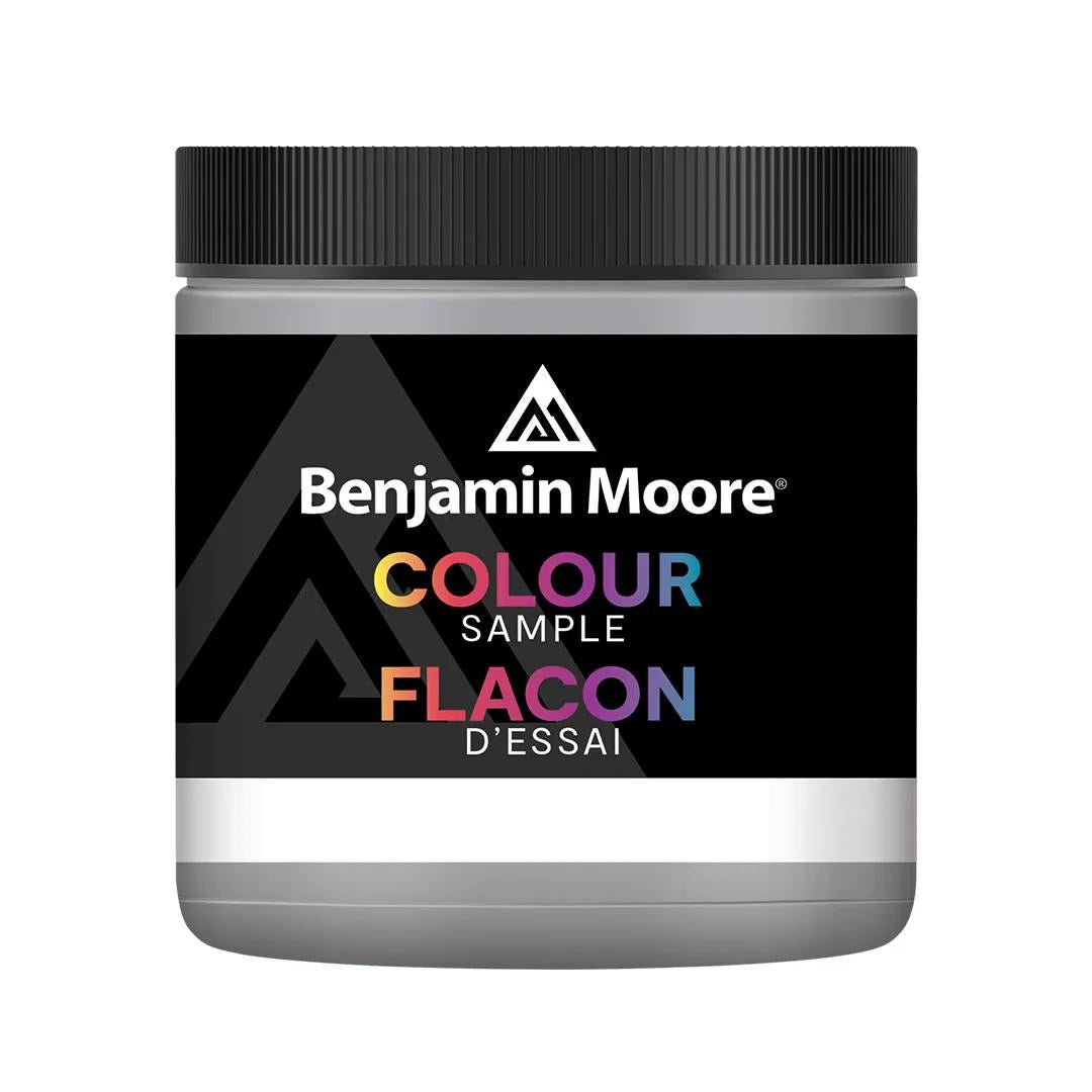 Benjamin Moore Paint Colour Samples K200