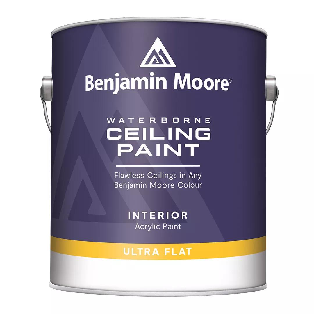 Waterborne Ceiling Paint K508